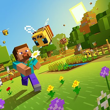 Serveur Privé Minecraft